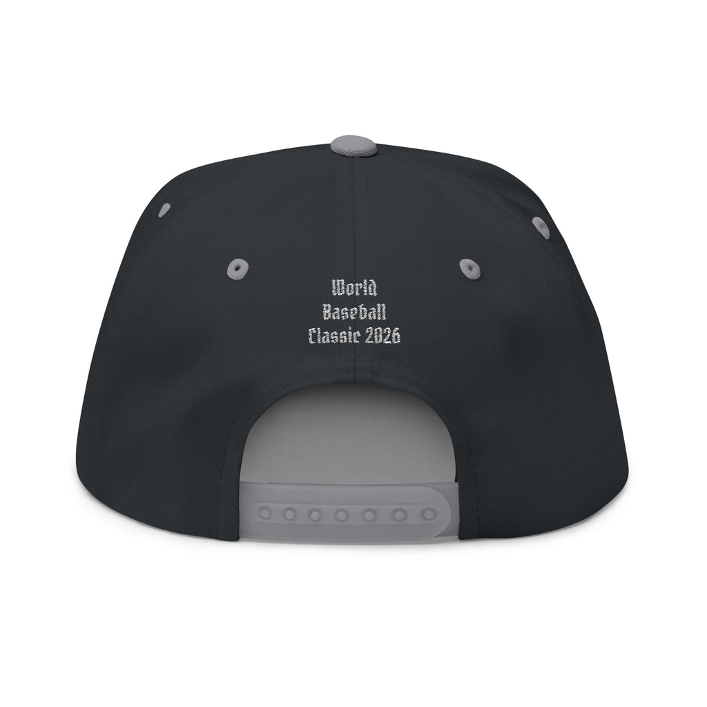 Dominican Republic World Baseball Classic 2026 Hat (embroidered white)