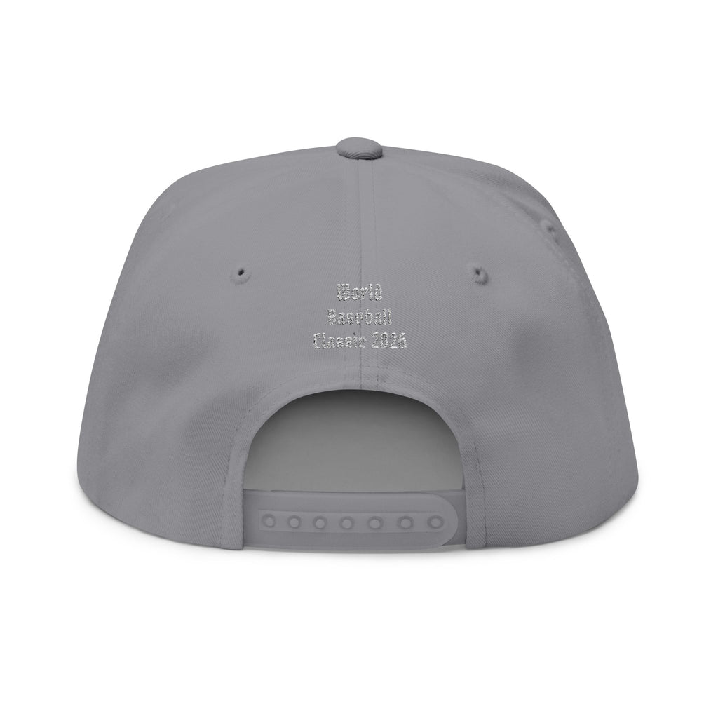 Dominican Republic World Baseball Classic 2026 Hat (embroidered colored)