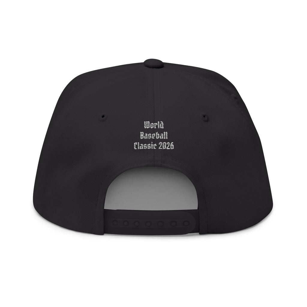 Dominican Republic World Baseball Classic 2026 Hat (embroidered colored)
